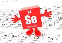 Важные функции селена